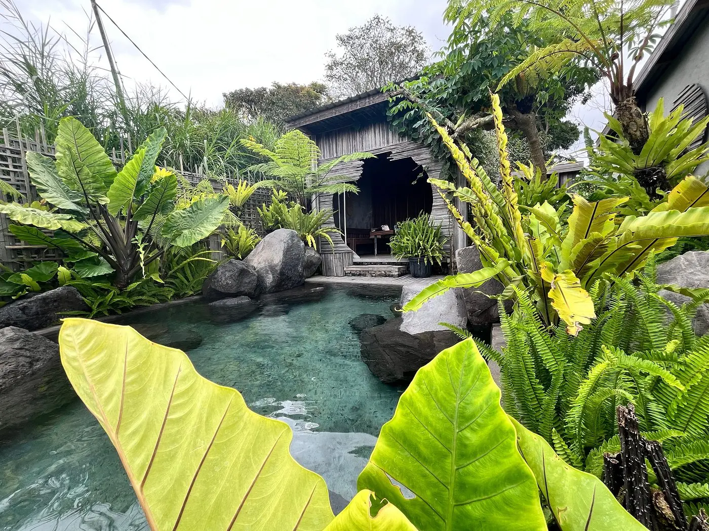 How to Enjoy a Natural Hot Spring in Bali Without the Crowds