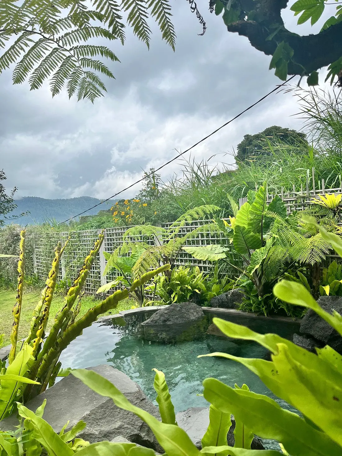 How to Enjoy a Natural Hot Spring in Bali Without the Crowds
