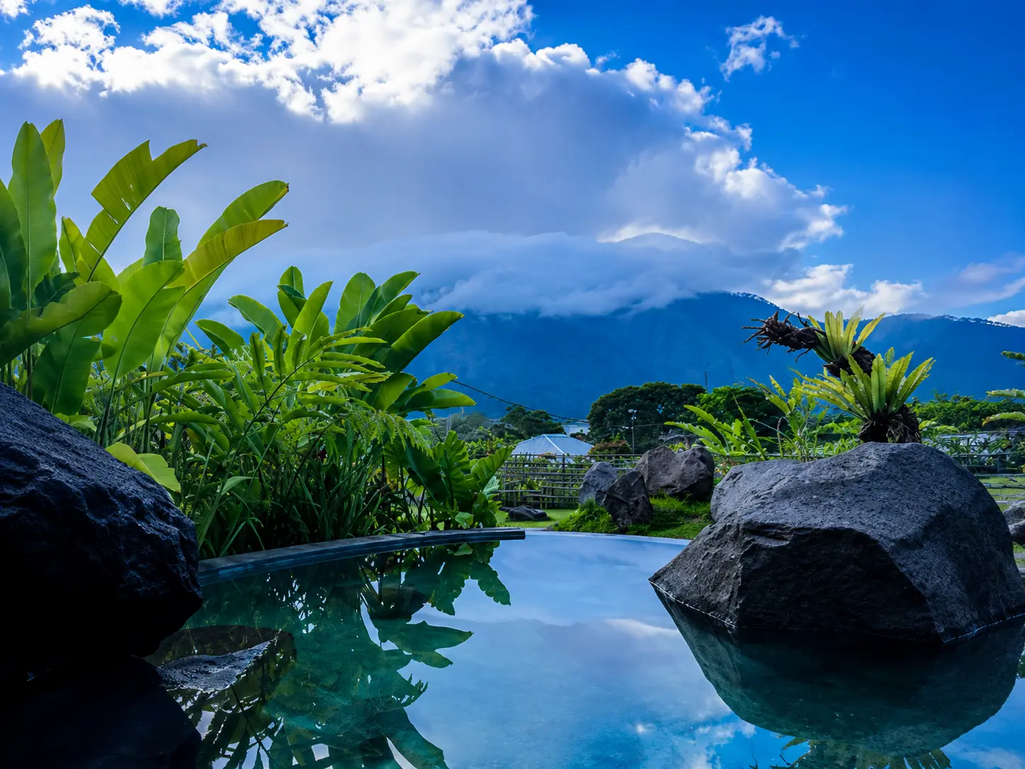 Batur Hot Spring Travel Guide: Tips, Itinerary & Kintamani Essentials